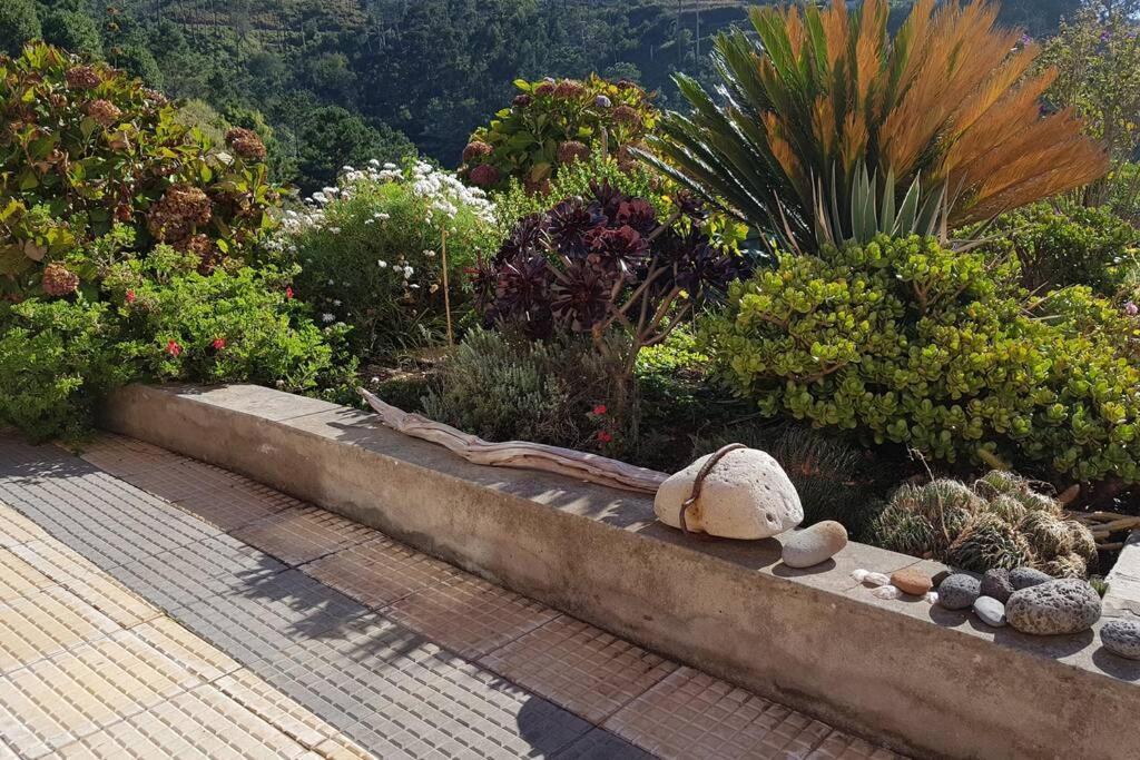 Raposeira De Sao Joao, The Feeling Of Peace, Space And Quiet, Whole Villa Is Yours Fajã da Ovelha Eksteriør billede