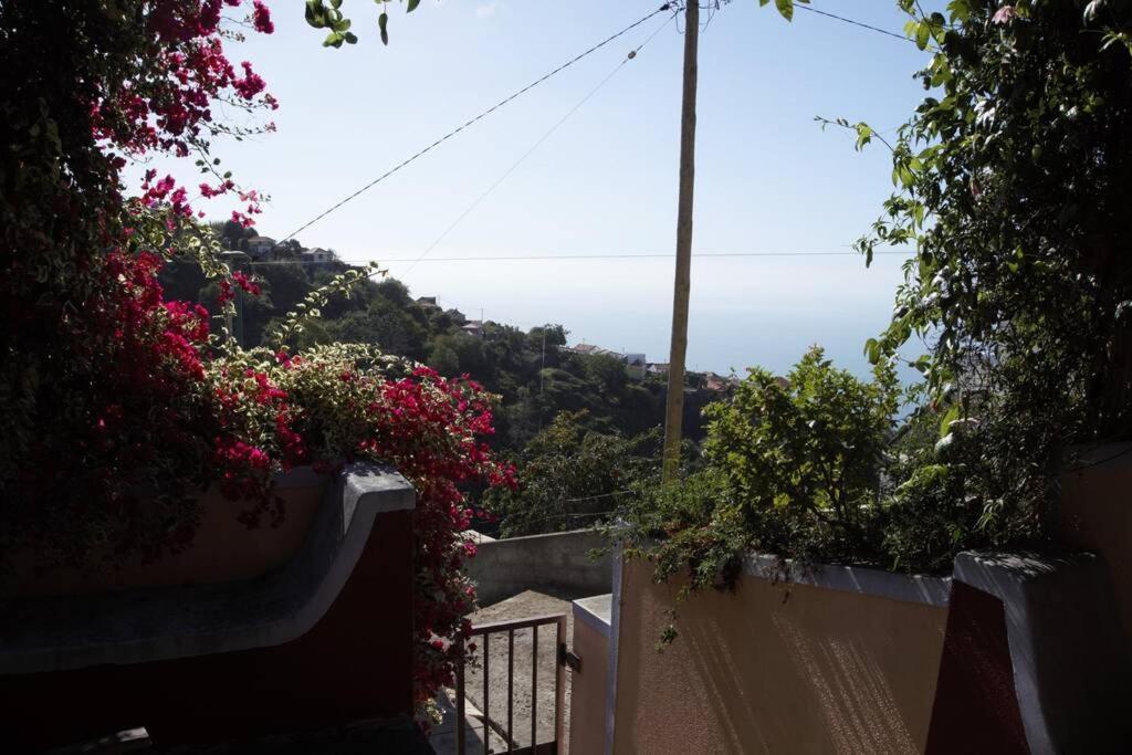Raposeira De Sao Joao, The Feeling Of Peace, Space And Quiet, Whole Villa Is Yours Fajã da Ovelha Eksteriør billede
